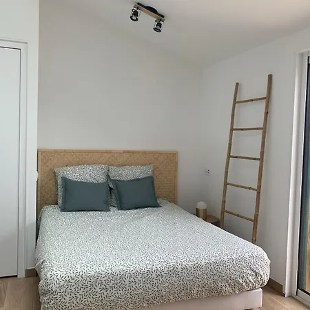 Appartement Neuf Avec Terasse Jardin Seignosse