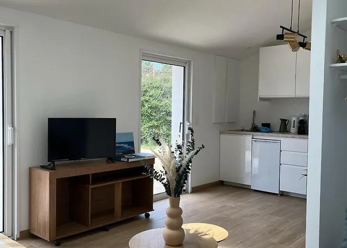 Neuf Avec Terasse Jardin * Seignosse