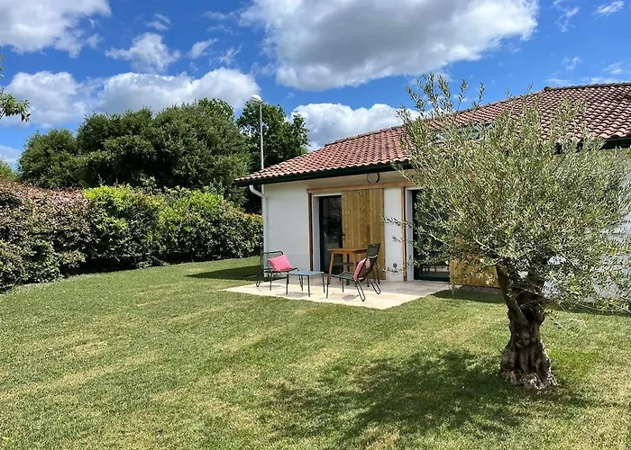 Neuf Avec Terasse Jardin *